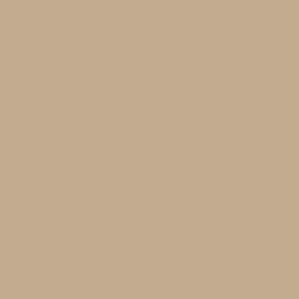 CT5-119 Beige Camel